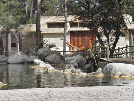 Zoo de La Palmyre | Références HAM entreprise menuiserie La Tremblade Charente Maritime Nouvelle Aquitaine